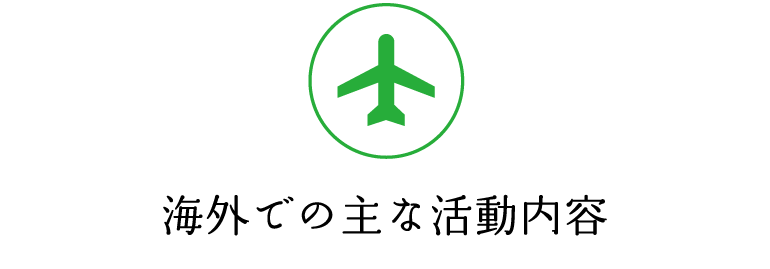 海外での主な活動内容